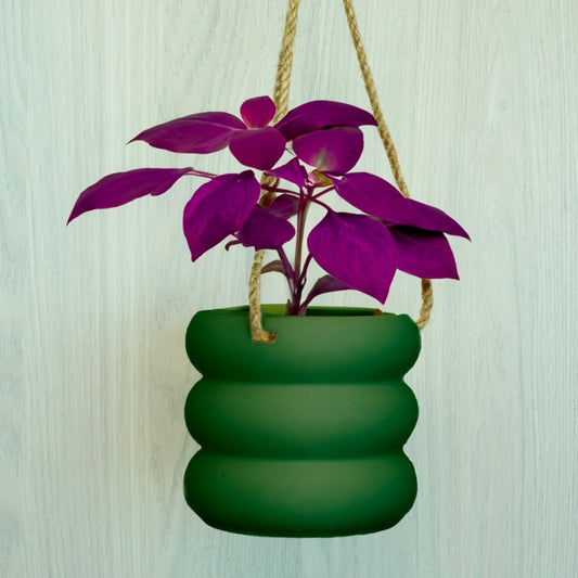 Bubble Pot Hanging Planter