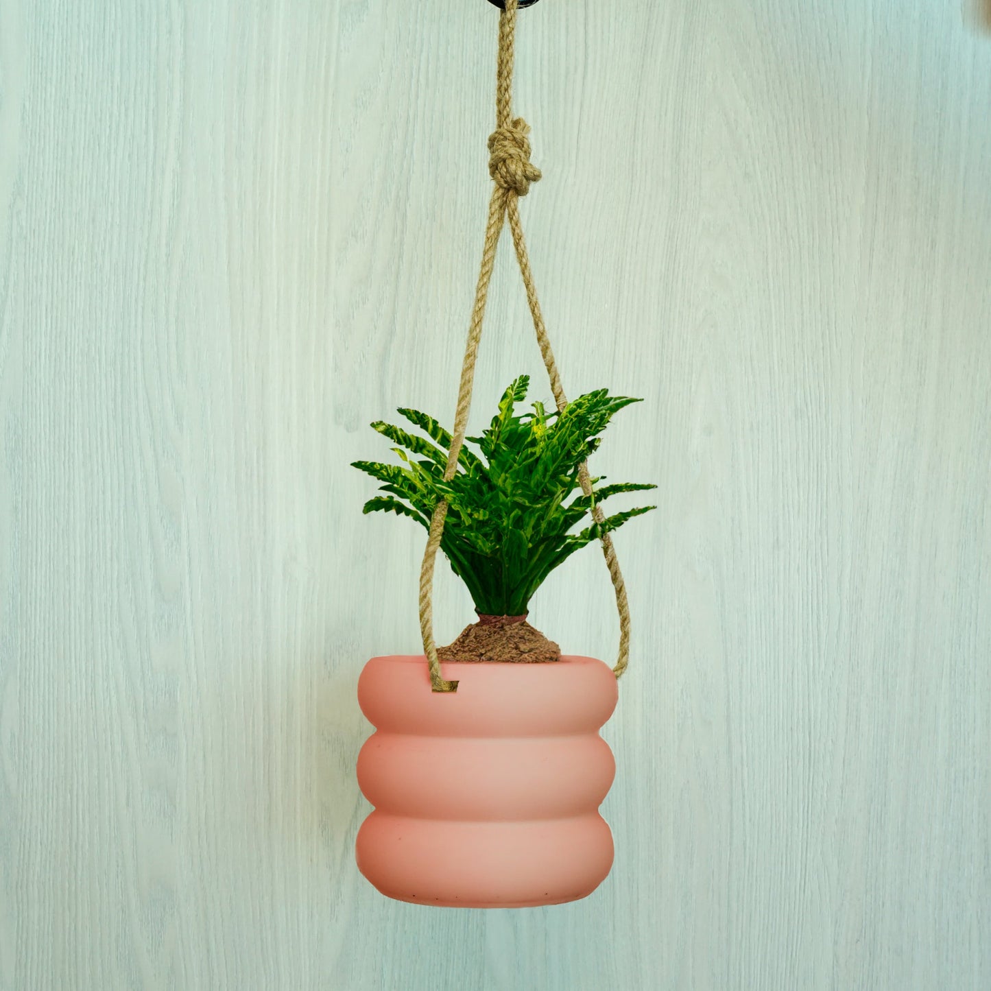 Bubble Pot Hanging Planter