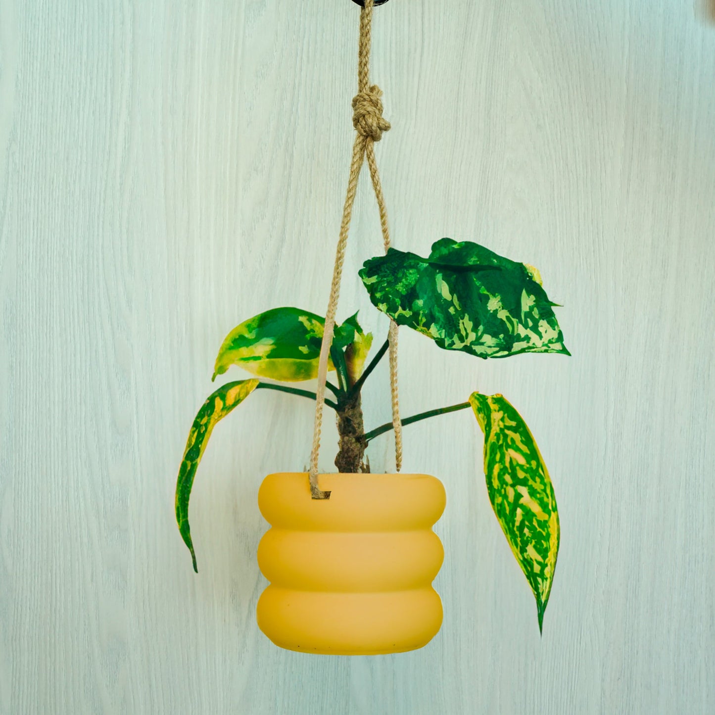 Bubble Pot Hanging Planter