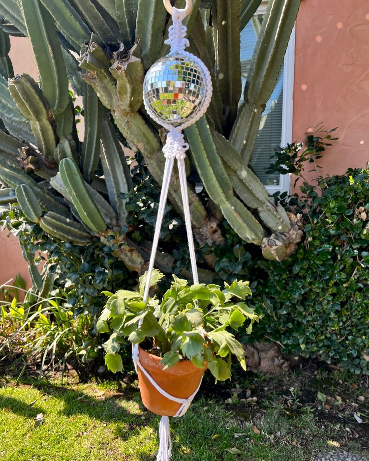 Disco Plant Hanger
