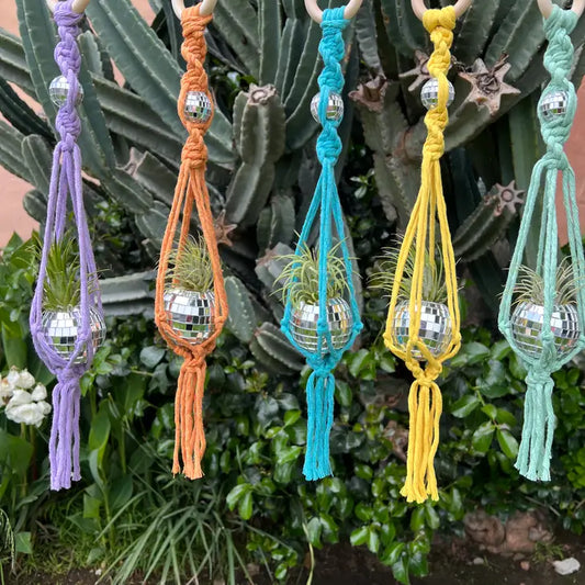 double the disco air plant hanger