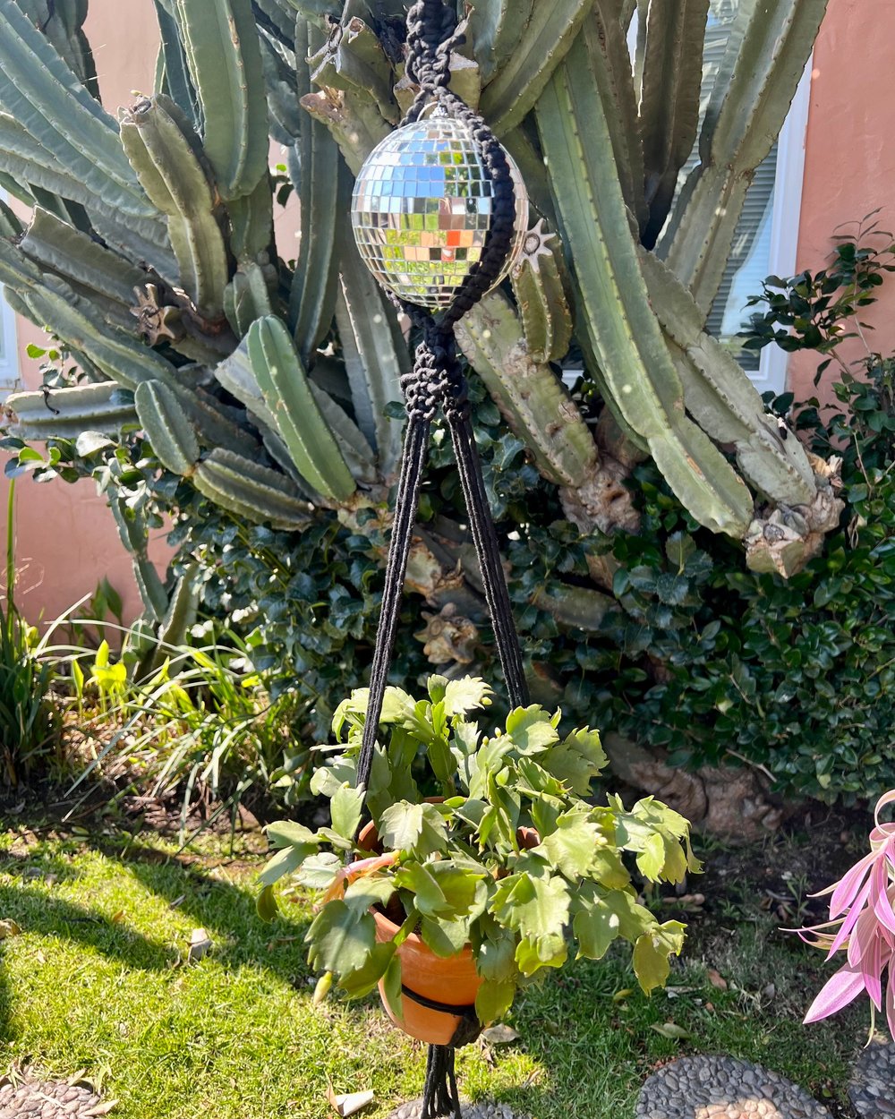 disco plant hanger
