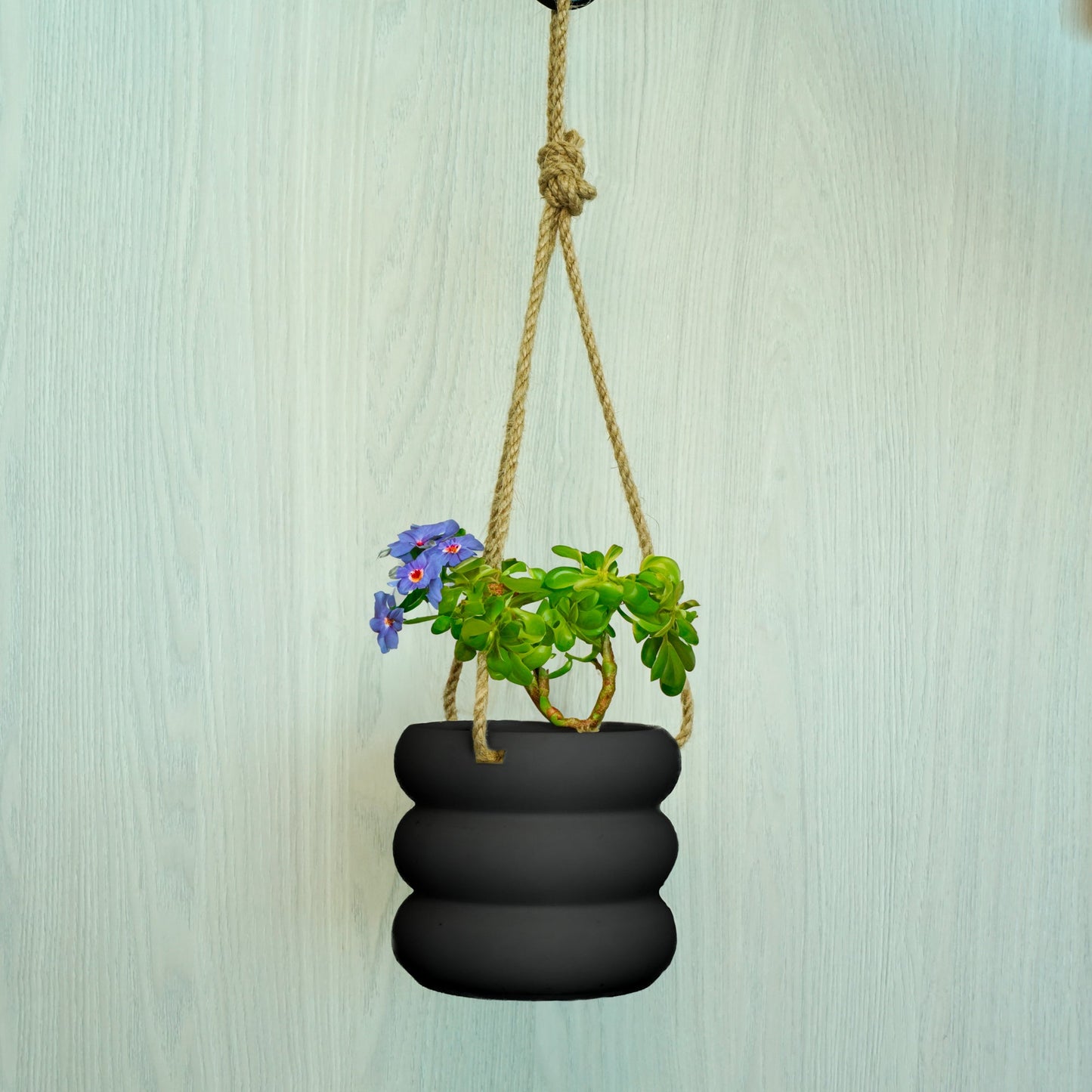 Bubble Pot Hanging Planter