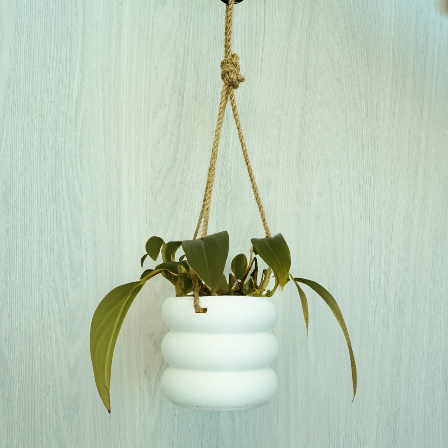 Bubble Pot Hanging Planter