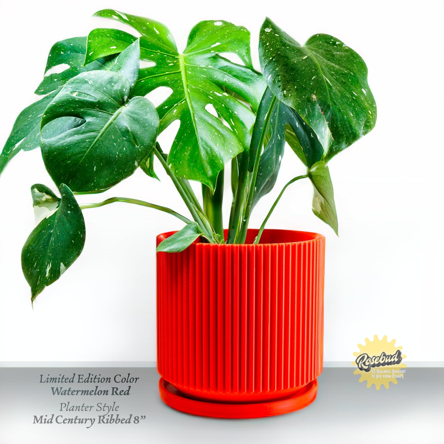 Mid-Century Ribbed Planter
